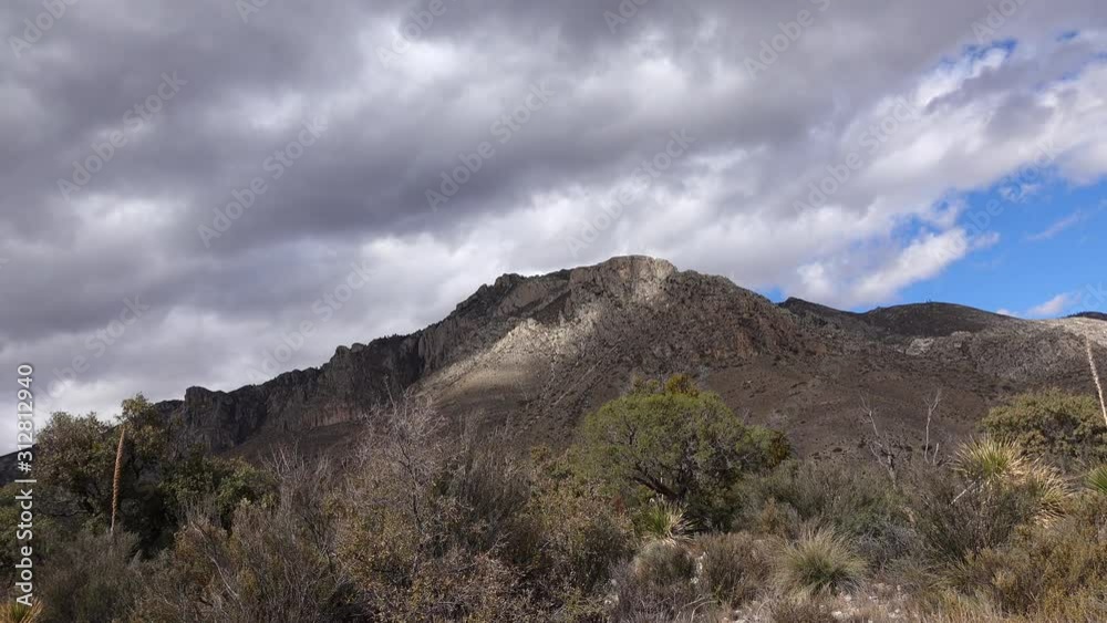 Yuccas and cacti against the backdrop of mountains with thunderclouds. NEW MEXICO. USA Yuccas and cacti against the backdrop of mountains with thunderclouds. NEW MEXICO. USA