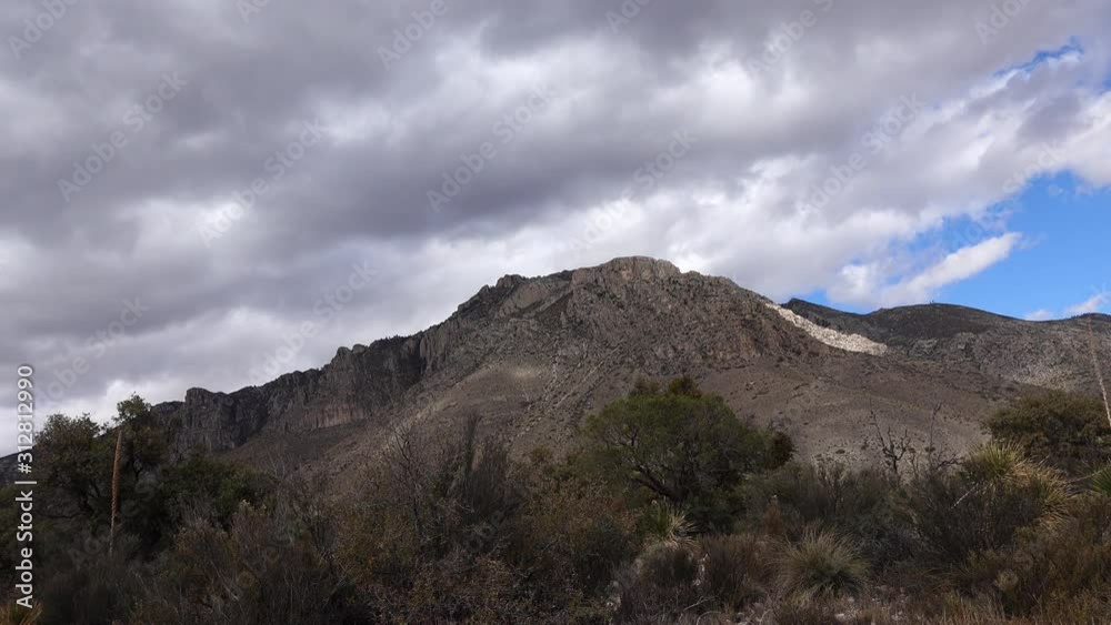 Yuccas and cacti against the backdrop of mountains with thunderclouds. NEW MEXICO. USA Yuccas and cacti against the backdrop of mountains with thunderclouds. NEW MEXICO. USA