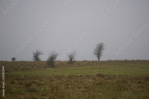 Nebel in der Eifel