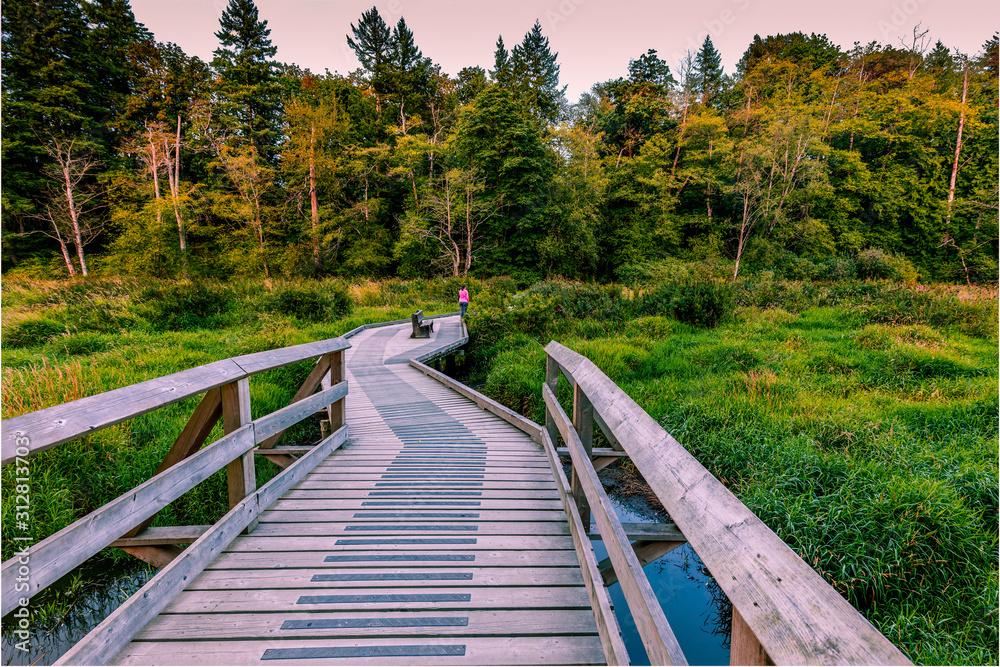 Campbell Valley Park wooden walkway in late summer