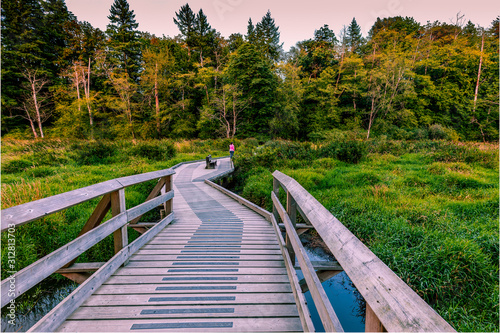 Obraz na płótnie Campbell Valley Park wooden walkway in late summer w salonie