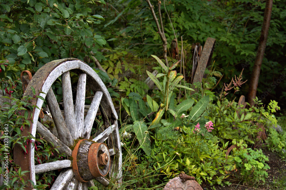 Wood wagon wheel decorates the Alaskan landscape Wood wagon wheel decorates the Alaskan landscape
