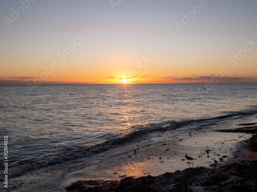 sunset on the beach © TH848