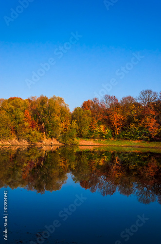 Bright red and orange trees stand on the edge of the shore and are reflected in the mirror surface of the lake. A clear blue sky is reflected in the water. Colorful autumn warm sunny weather.