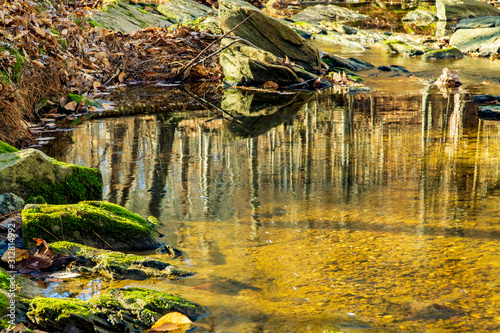 Fototapeta Naklejka Na Ścianę i Meble -  A pond on a forest stream.