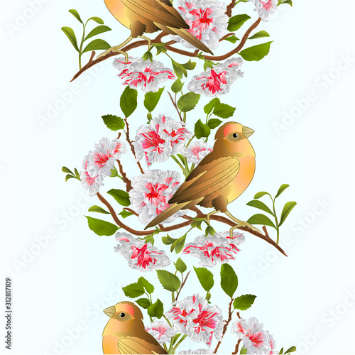 Vertical border seamless background small bird  thrush and branch white hibiscus  spring background vintage vector illustration editable hand draw
