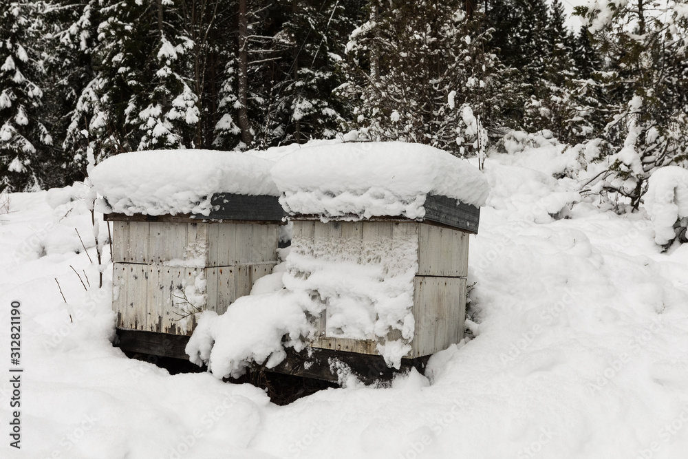 Beehives in apiary covered with snow in winter Beehives in apiary covered with snow in winter