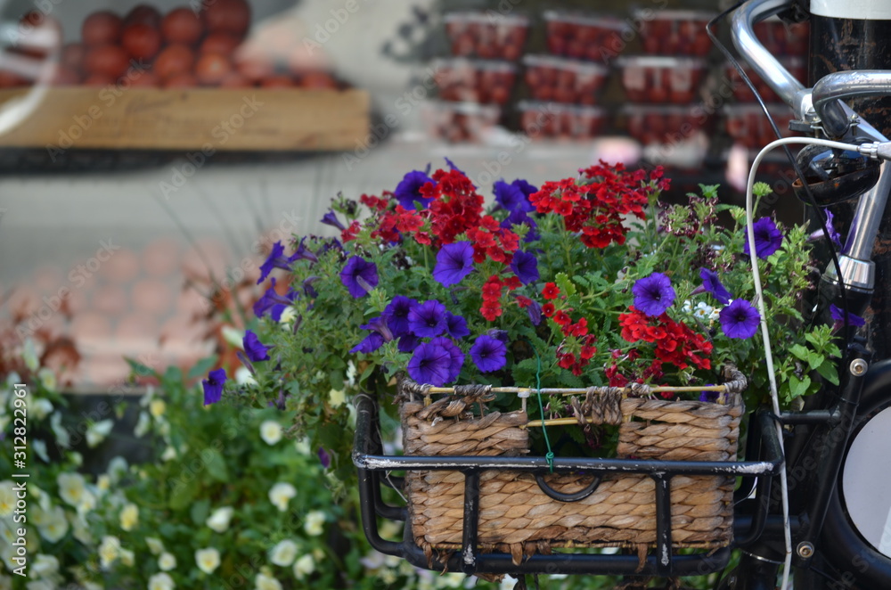 Flowers in a bicycle basket - Little Italy, Boston