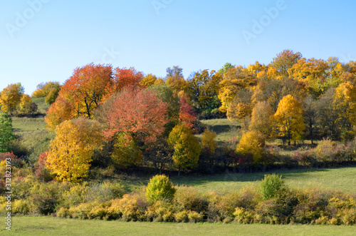 bunter Herbstwald in der Th  ringer Rh  n