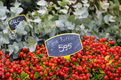 Red berries and eucalyptus for sale at the flower market. 