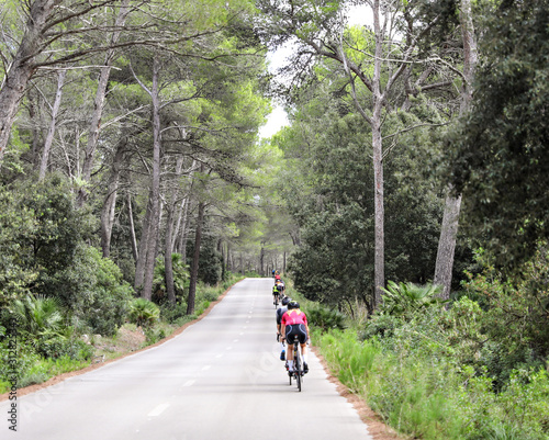 Cycling through a forest down a road.  © julie