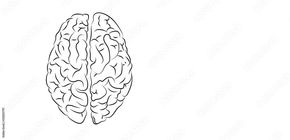emisferi, cervello, fantasia, colori emisferi, cervello, fantasia, colori