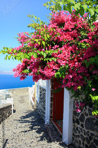 Beautiful  pink bougainvillea flowers surrounding the front door