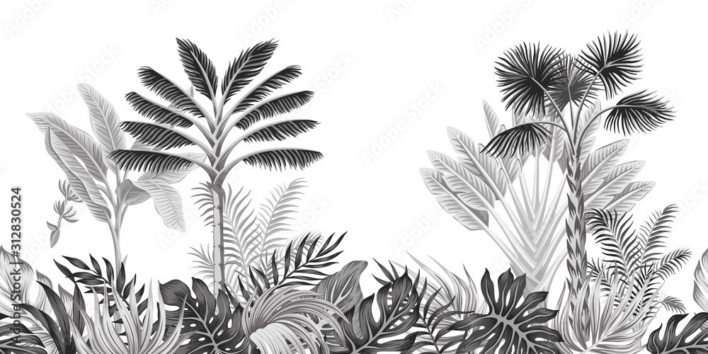 Tropical vintage botanical landscape, palm tree, banana tree, plant floral  black and white seamless border white background. Exotic jungle wallpaper.  Stock Vector | Adobe Stock