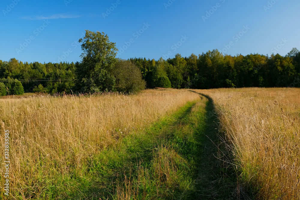 A dirt country road in the field of yellow autumn grass under a blue sky