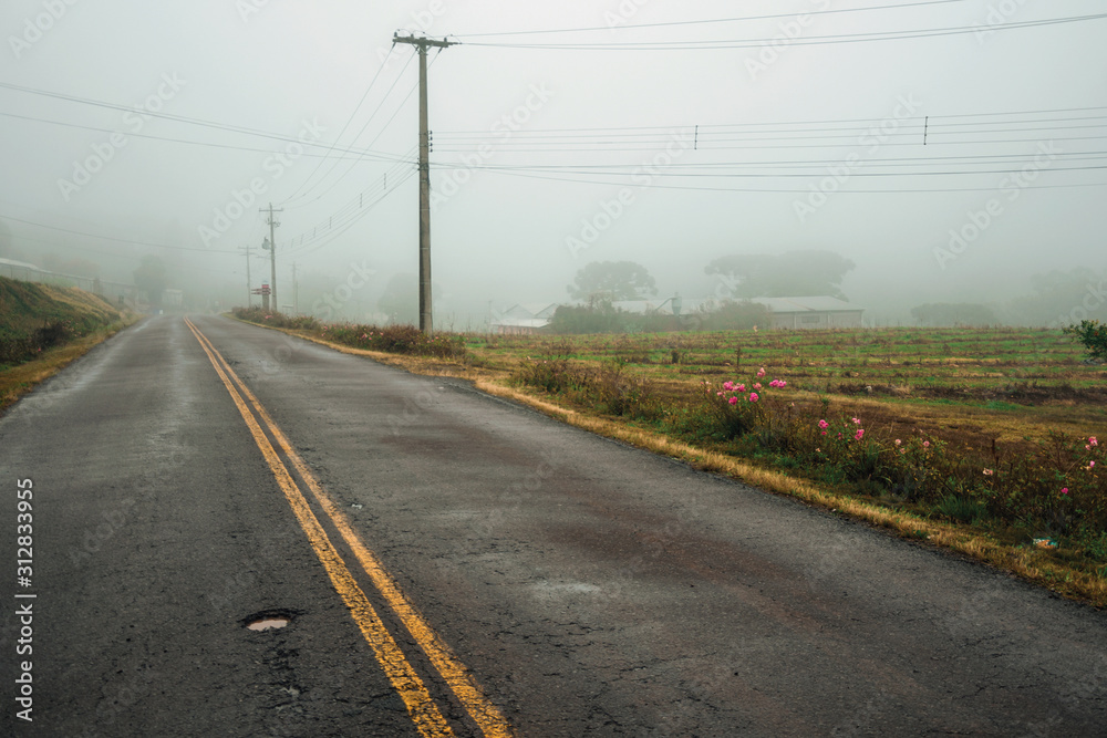 Lonely paved road with fields in a foggy day