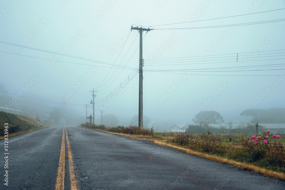 Lonely paved road with fields in a foggy day