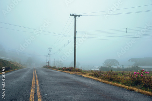 Lonely paved road with fields in a foggy day