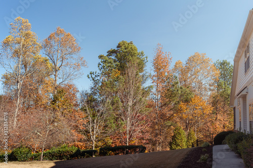 Typical american house and its backyard side with woods view on the beginning of winter
