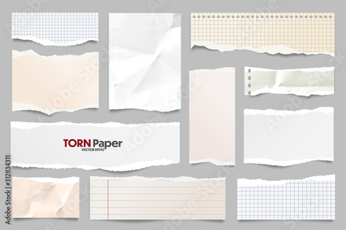 Colored ripped lined paper strips collection. Realistic paper scraps with torn edges. Sticky notes, shreds of notebook pages. Vector illustration.