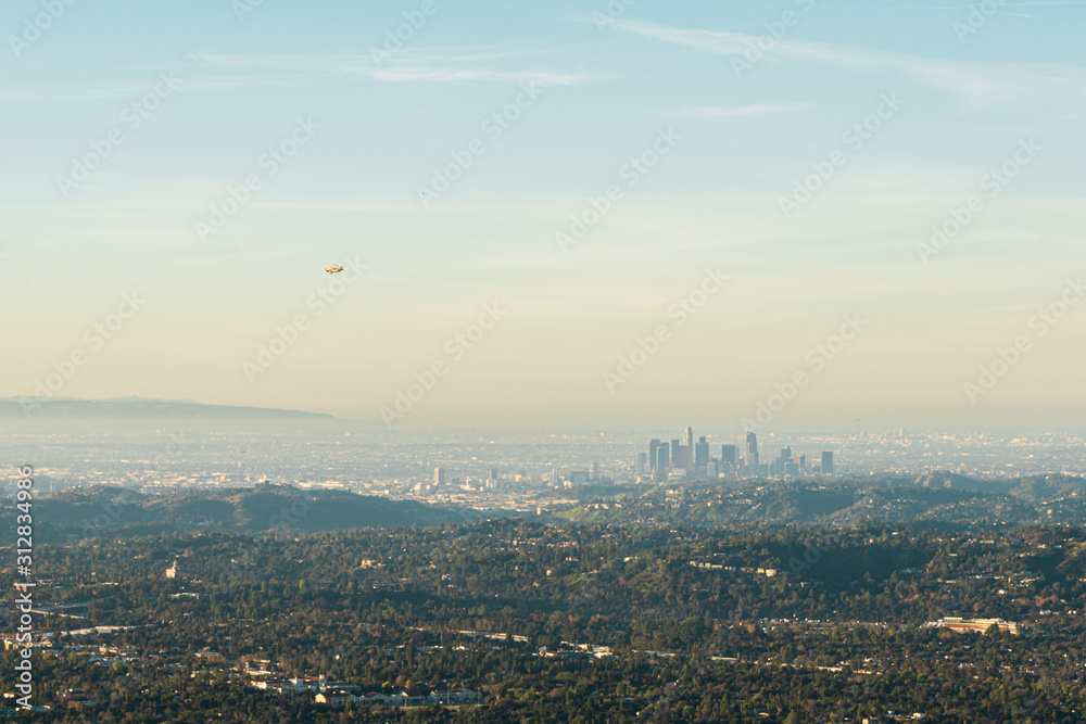 Fototapeta premium Rose parade from afar