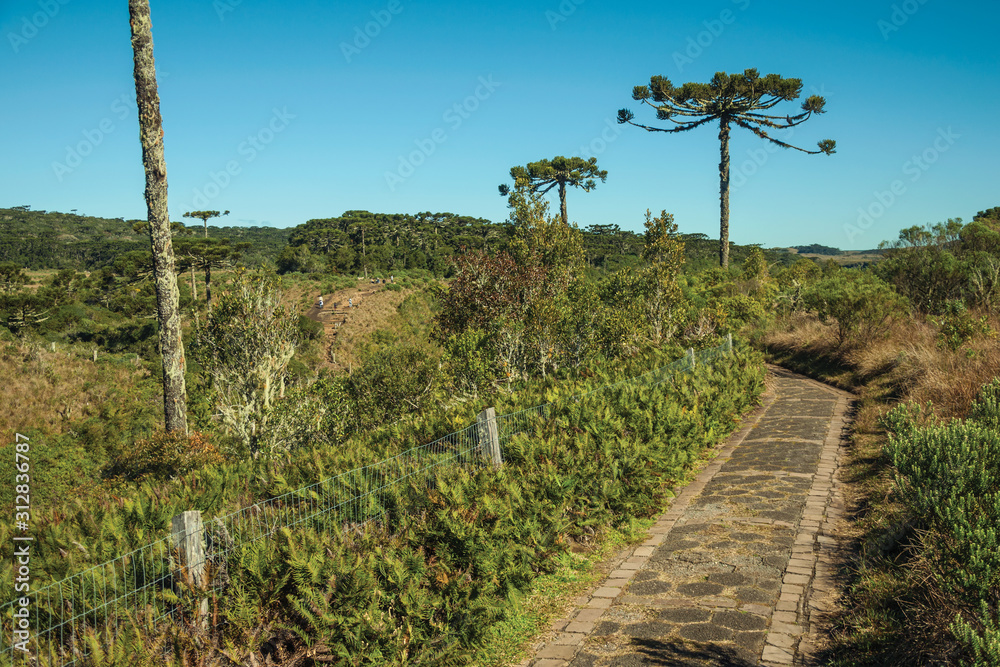 Pathway in the Aparados da Serra National Park