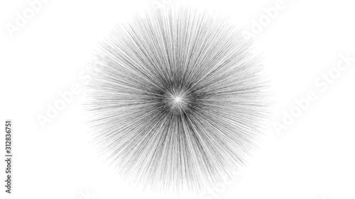 Black rays growing from the center of a white screen.