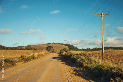 Deserted dirt road passing through rural lowlands