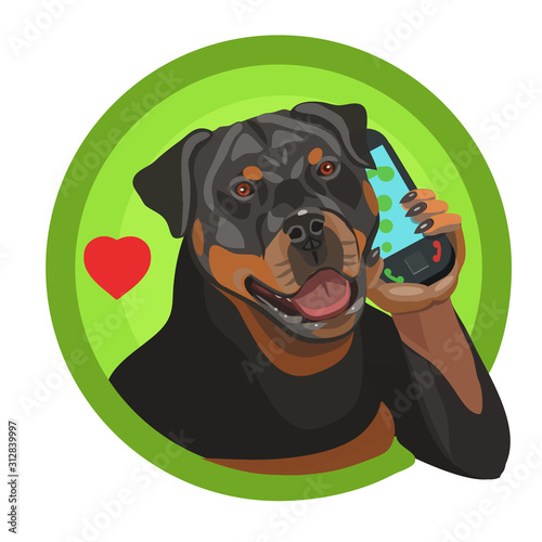 Rottweiler dog thoroughbred he calls on the phone, he is loved and appreciated as a friend and defender of your home and apartment
