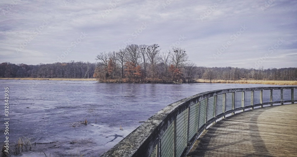 The Rookery in the Winter