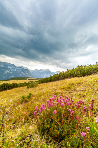 Summer scenery in the Transylvanian Alps, with gorgeous storm clouds
