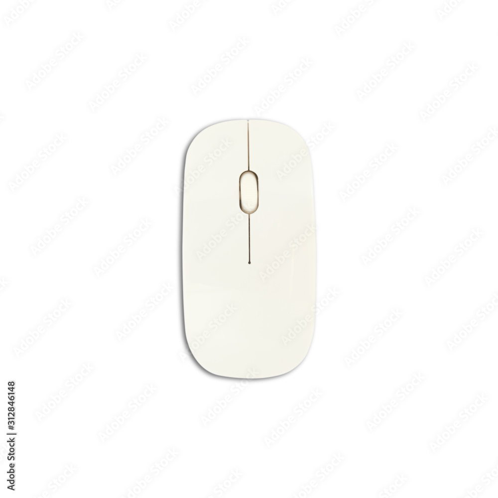 white mouse in isolated white background with clipping path white mouse in isolated white background with clipping path