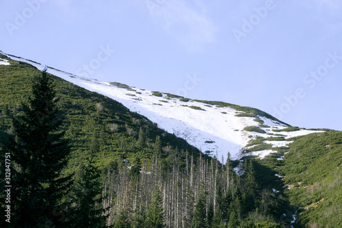 Green and snowy mountains in the Polish Tatras photo