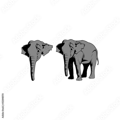 Elephant. Monochrome logo