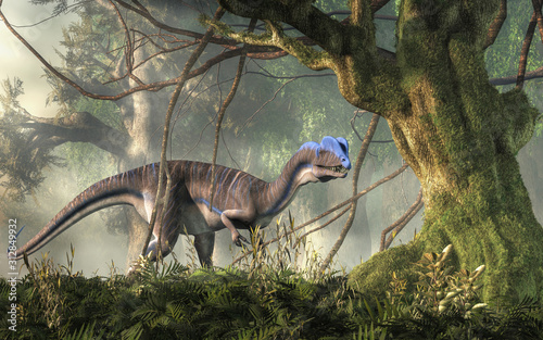 Dilophosaurus was a theropod dinosaur of the early Jurassic period in North America. A predator, it's named for the two crests on its head. Depicted in a jungle. 3D Rendering  © Daniel Eskridge