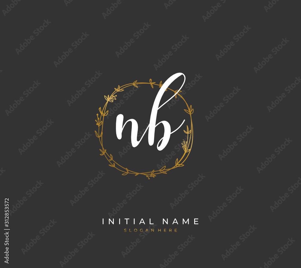Handwritten letter N B NB for identity and logo. Vector logo template with handwriting and signature style.