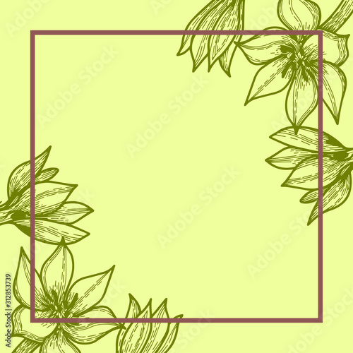 light green card or invitation with hand drawn flowers, botany vector, with space for text © dnapslvsk
