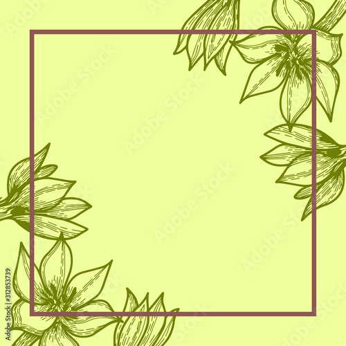 light green card or invitation with hand drawn flowers, botany vector, with space for text