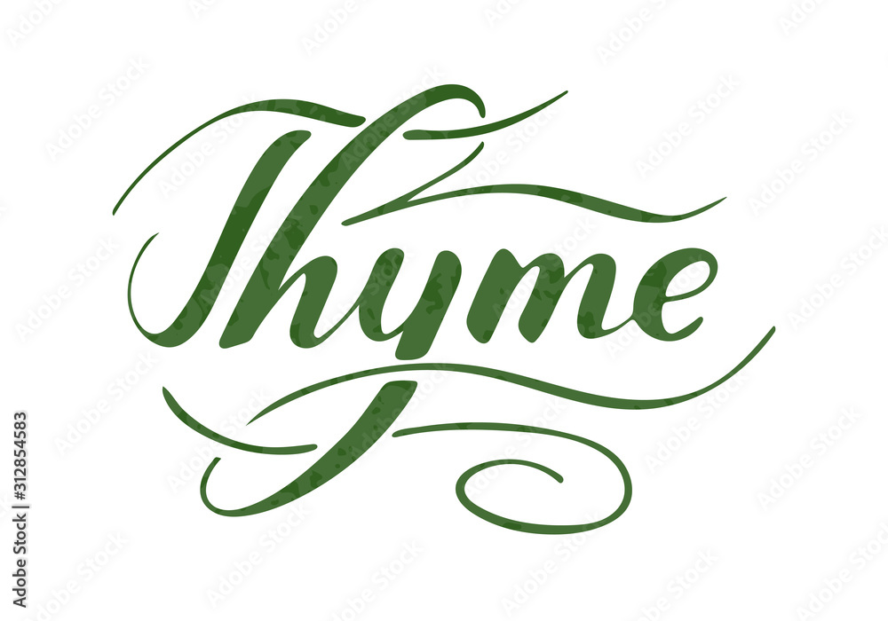 Vector hand written thyme text isolated on white background. Kitchen healthy herbs and spices for cooking. Script brushpen lettering with flourishes. Handwriting for banner, poster, product label Vector hand written thyme text isolated on white background. Kitchen healthy herbs and spices for cooking. Script brushpen lettering with flourishes. Handwriting for banner, poster, product label
