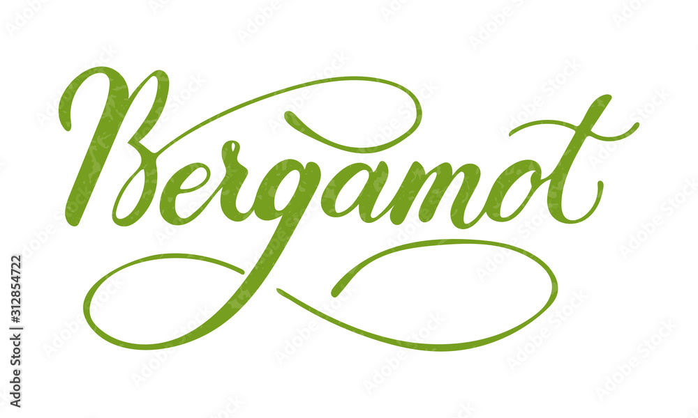 Vector hand written bergamot text isolated on white background. Kitchen healthy herbs and spices for cooking. Script brushpen lettering with flourishes. Handwriting for banner, poster, product label