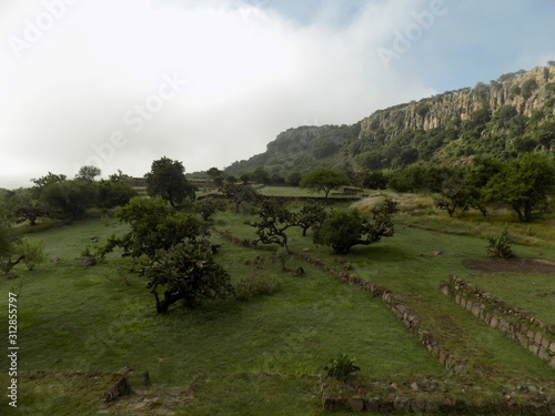 Ammil Verde