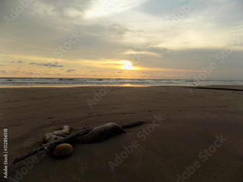 Ecosistema playero
