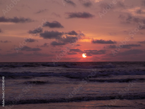 Ecosistema playero