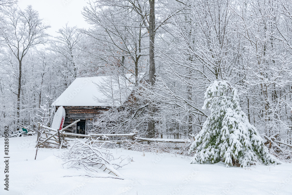 Beautiful  Winter scene log building landscape