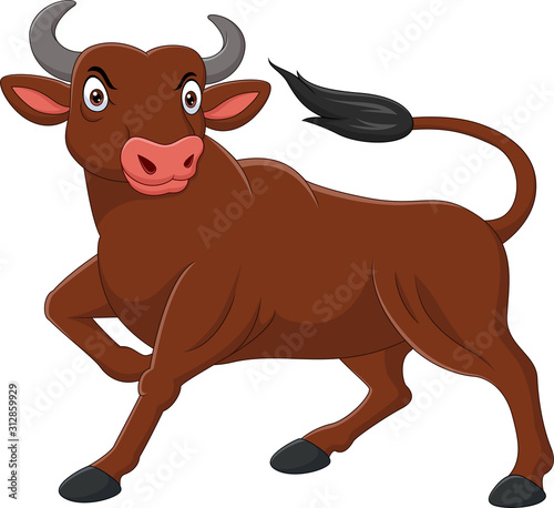 Cartoon angry bull isolated on white background