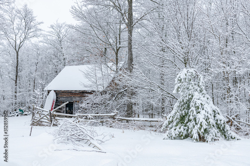 Beautiful  Winter scene log building landscape © Roxane Bay