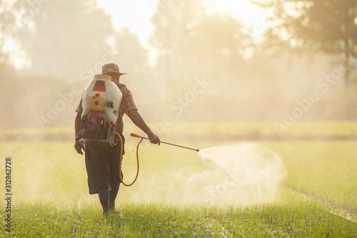 Asian farmer with machine and spraying chemical or fertilizer to young green rice field photo