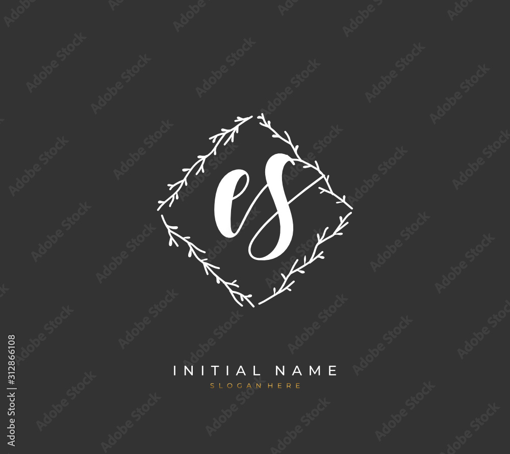 Handwritten letter E S ES for identity and logo. Vector logo template with handwriting and signature style. Handwritten letter E S ES for identity and logo. Vector logo template with handwriting and signature style.