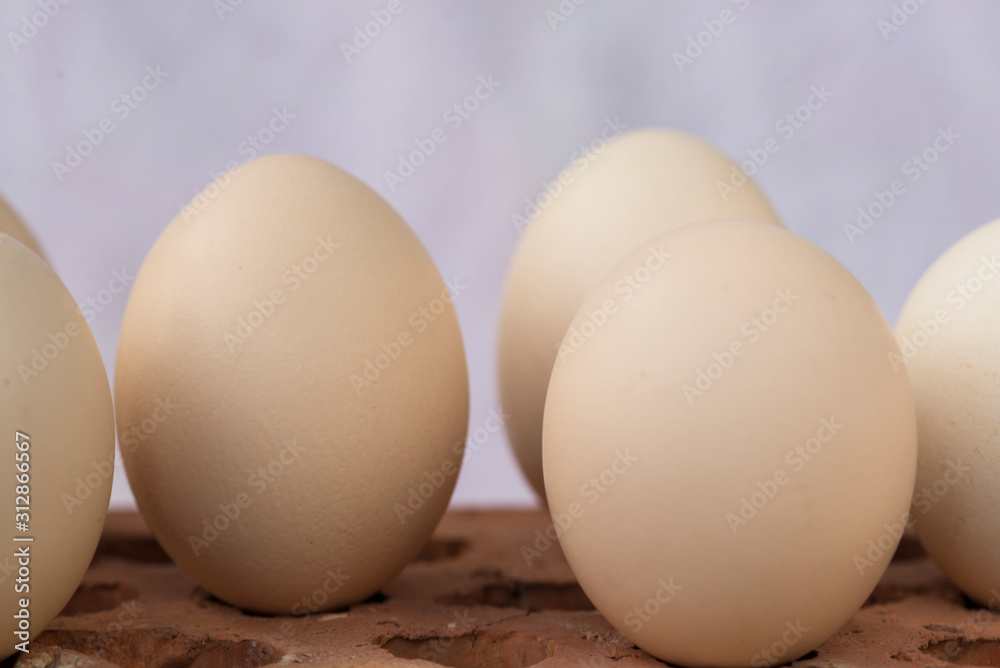 eggs