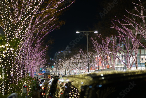 Christmas lights and illumination on the Omotesando road, Harajuku, Shibuya, Tokyo, Japan in 2019